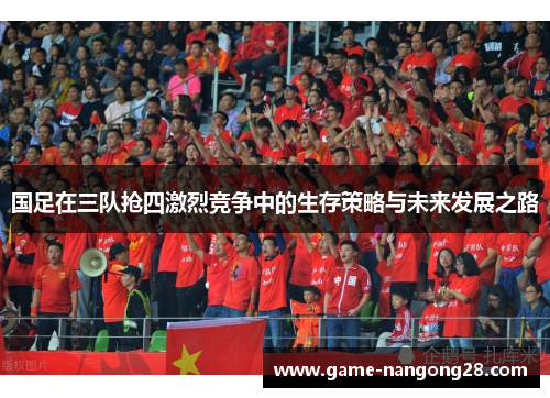 国足在三队抢四激烈竞争中的生存策略与未来发展之路