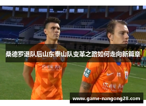 桑德罗退队后山东泰山队变革之路如何走向新篇章
