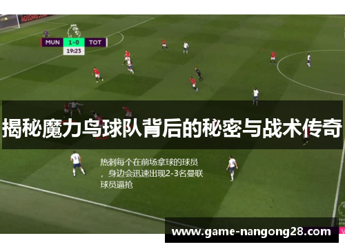 揭秘魔力鸟球队背后的秘密与战术传奇